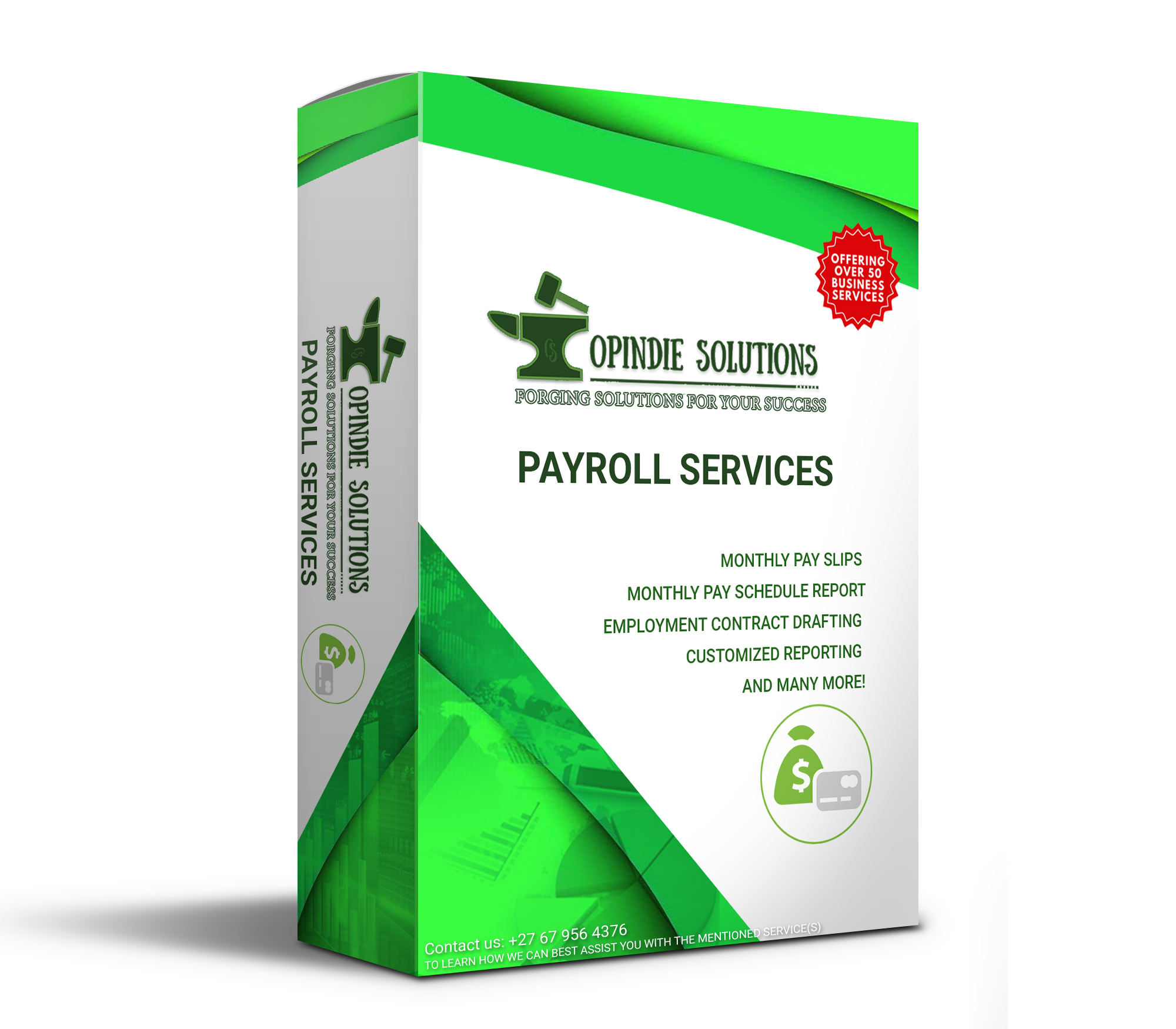 Payroll Service Box